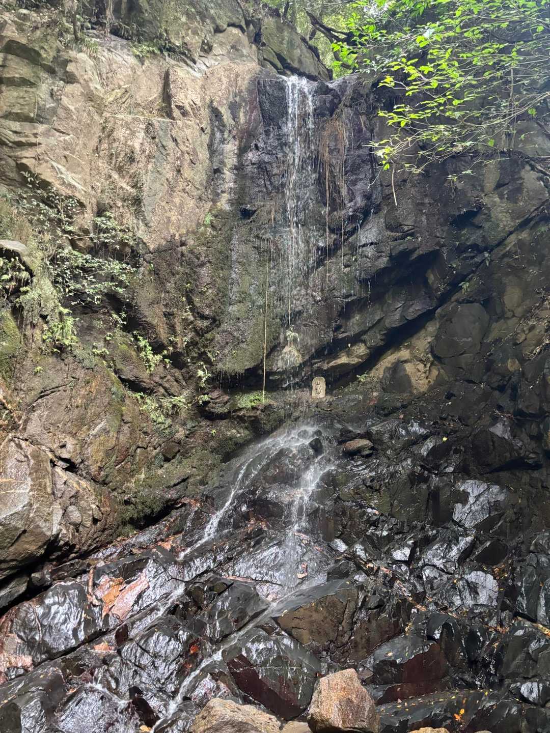大国見山 往復コースの写真