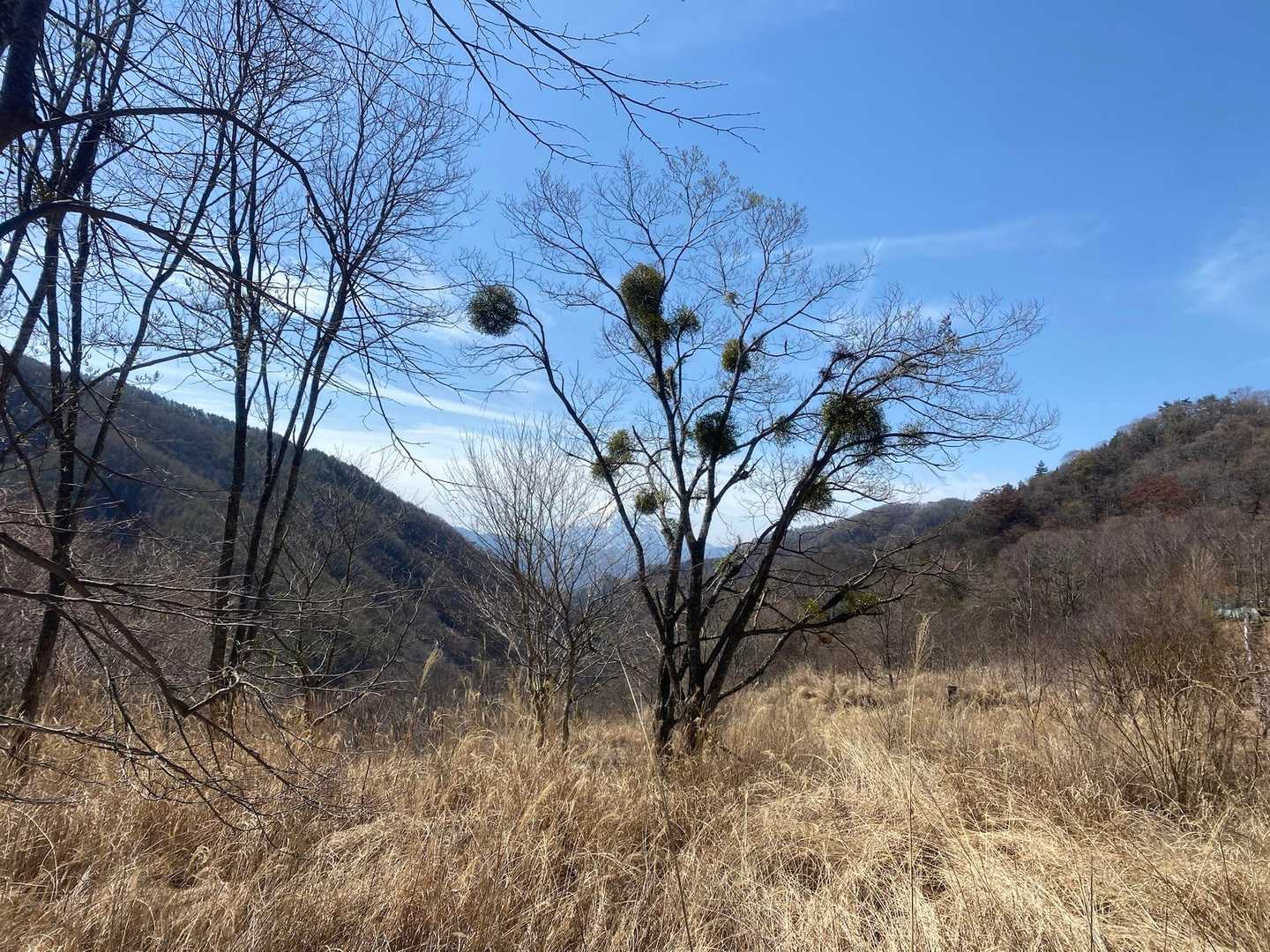 登り切ると開ける