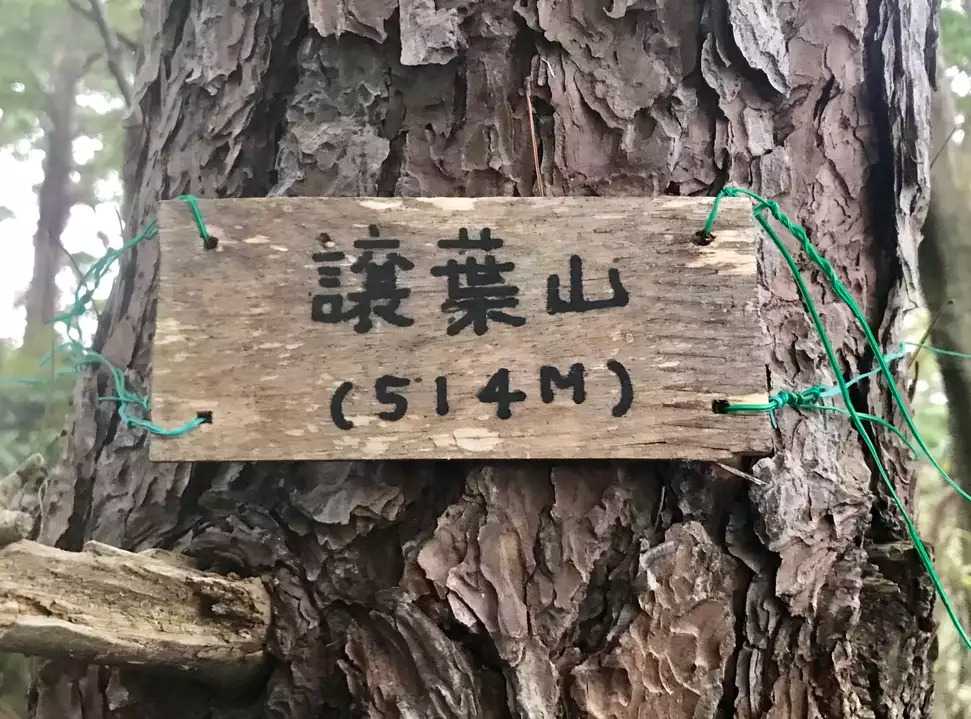 譲葉山の写真