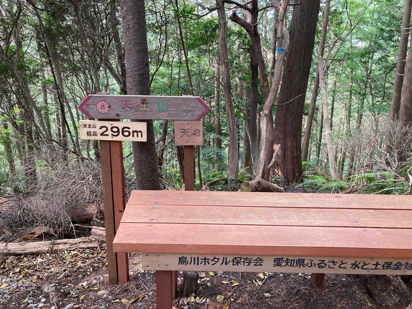 天王山は風が気持ち良かったです