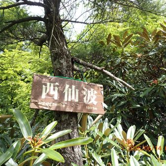 繰り返し１つ目のピーク