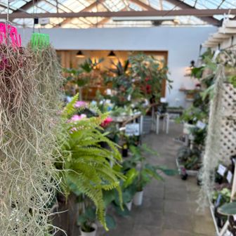 左のやつ
山にあるやつやな🙄🤔