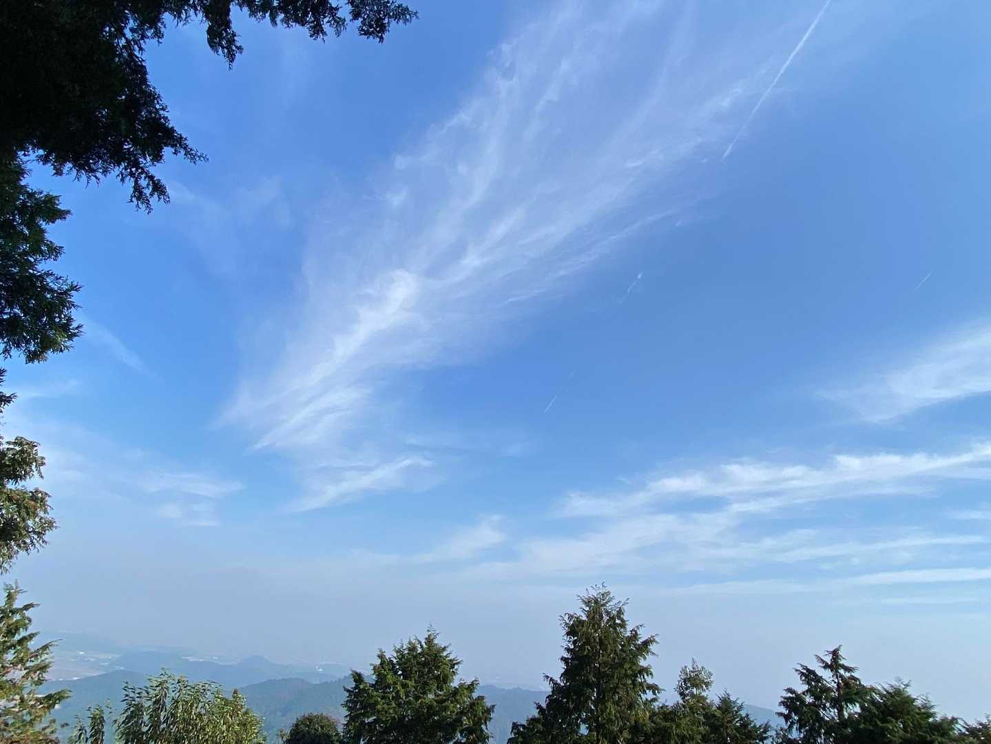 飛行機あるけど...うつら