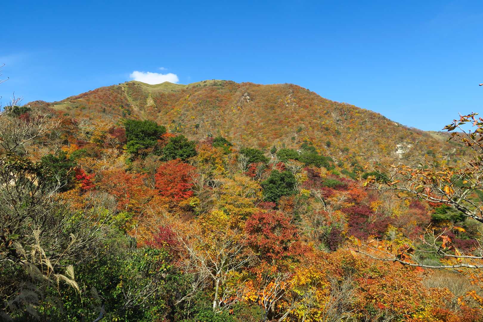 紅葉綺麗だな～🍁