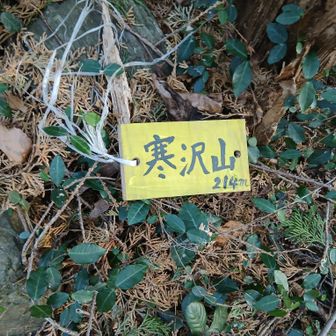 ⑬寒沢山