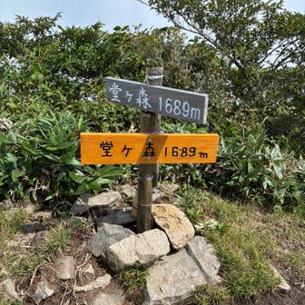 堂ヶ森到着。ここまで約３時間ずっと登りでキツイ。
