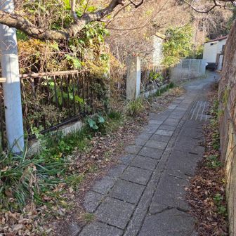 一度道路に出て、民家のお庭みたいな所を入ると