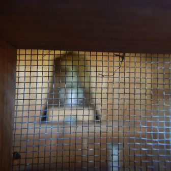 中には役行者さま