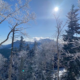 冷え切った体が　温まる頃には山頂の近くまで来ていた
車中から見て　雌阿寒岳には雲がかかっているのかと思ったが　それは山自体が吐き出す熱い息だった