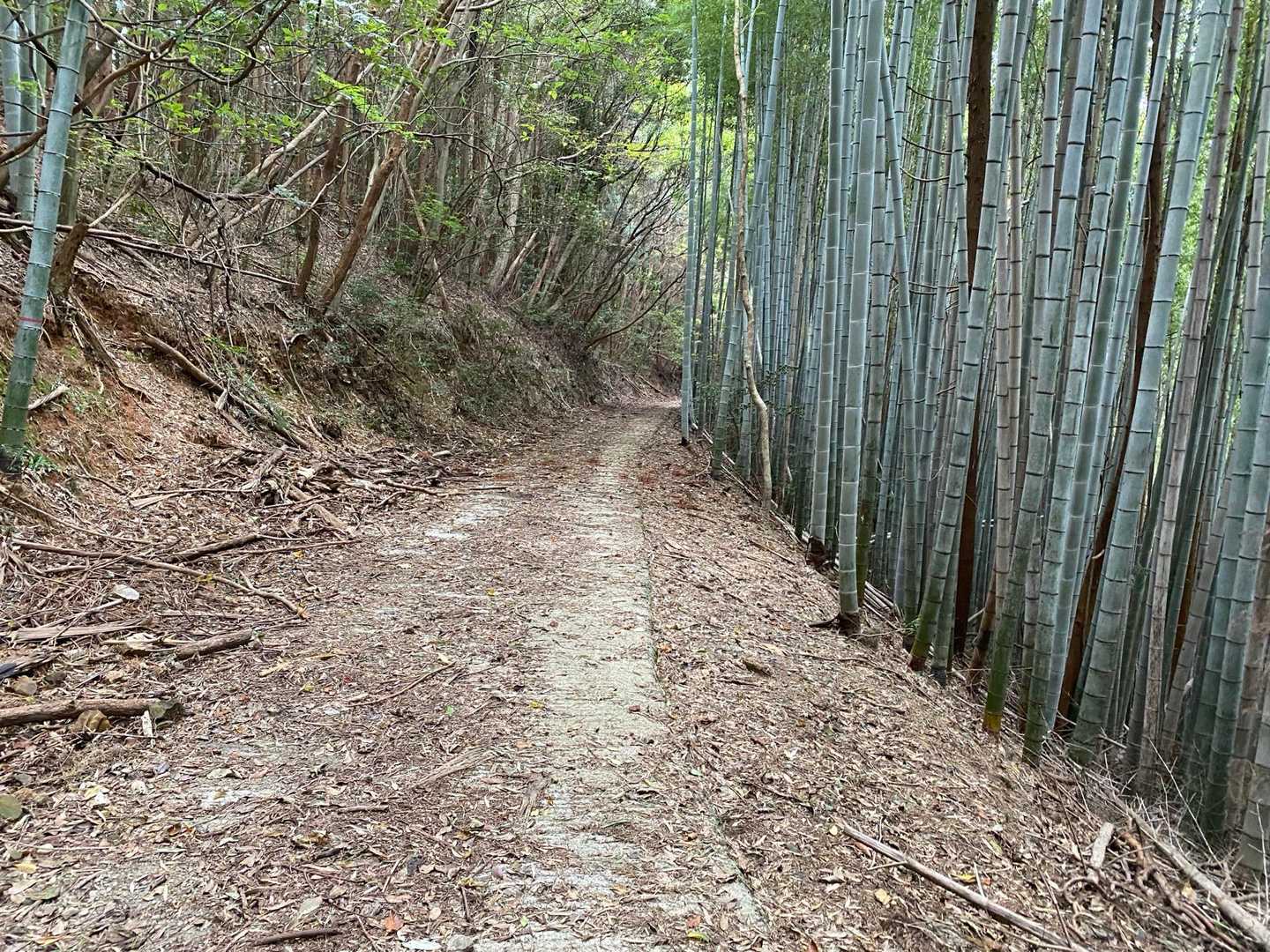 無理して進むのはやめたがよいかなぁ、引き返すか、、考え歩いていると三叉路。
もしかして行けるかも？

ルート上の林道へもどれ、ホッ。
時間ロスしまくりました(笑)