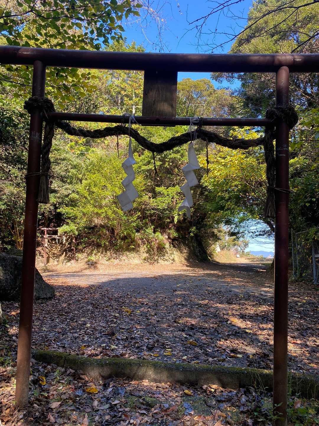 金立山 往復コースの写真