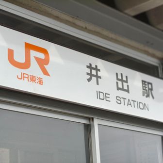 井出駅到着です。
15:14に無事に間に合いました！！

ほとんどが整地された林道か舗装路歩きだったので足への負担が少なくて、足痛いのでちょうどよかったです😊

ミツマタはもうお腹いっぱいです😅
