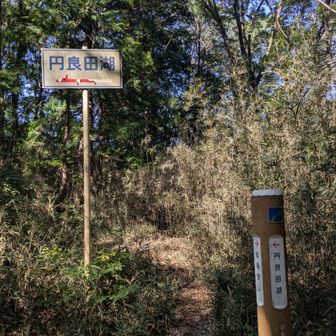 ここで道を間違えました。
東高山や西高山を経由した円良田湖に行くには左に曲がらず直進します。