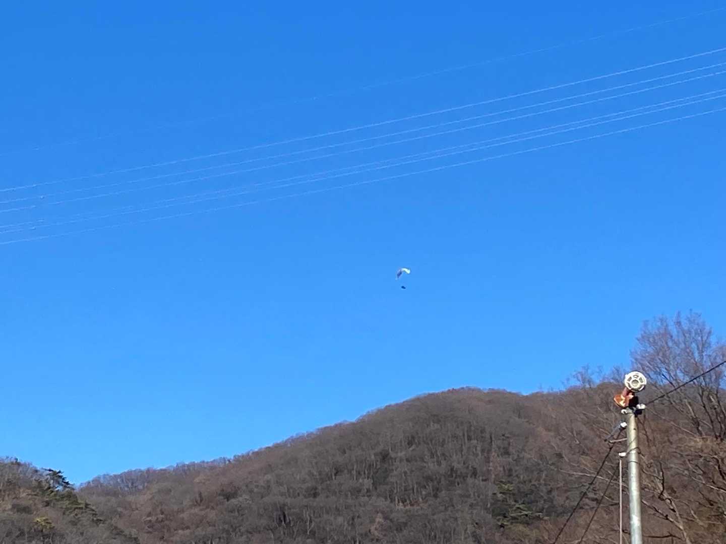 パラグライダーが飛んでました
気持ちよさそう