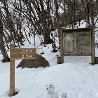 雪だるま家族⛄️
ゴボウ畠登山口まで近いうちに
工事終わって来れますように🙏