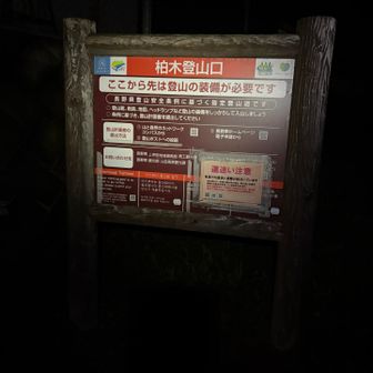 行ってきます