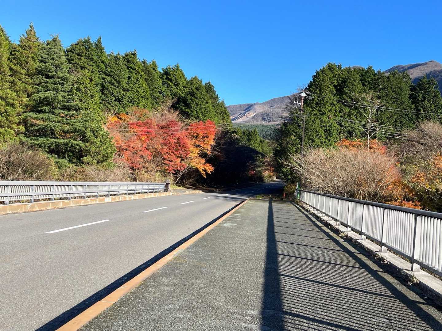 ここの紅葉🍁きれいです。　
ここから舗装路を歩いて桃源台に向かいます。
けっこう車が通ります🚙🚗。