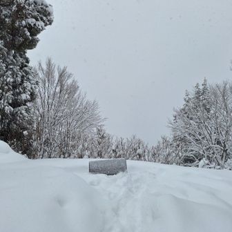 霊峰に一礼して下山