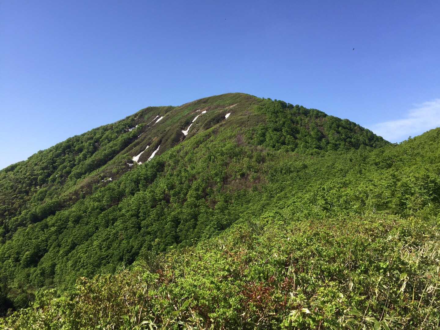 連なる山 杢蔵山の最新登山情報 / 人気の登山ルート、写真、天気など | YAMAP