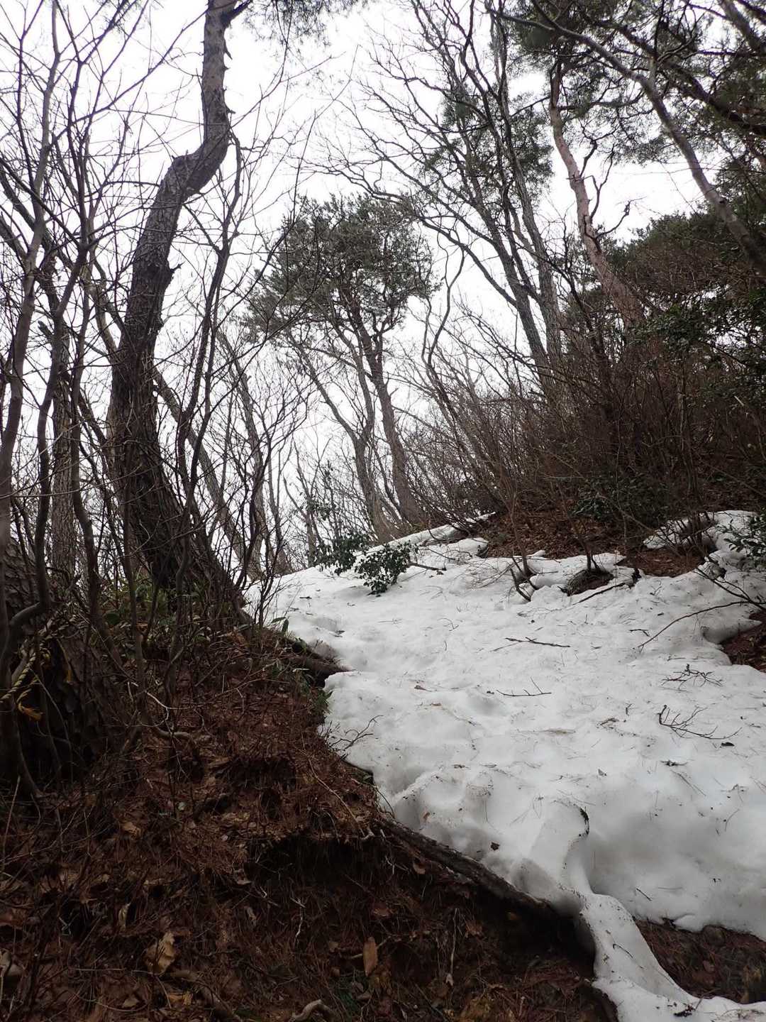 中部北陸自然歩道登山口-南保富士-二王山 往復コースの写真