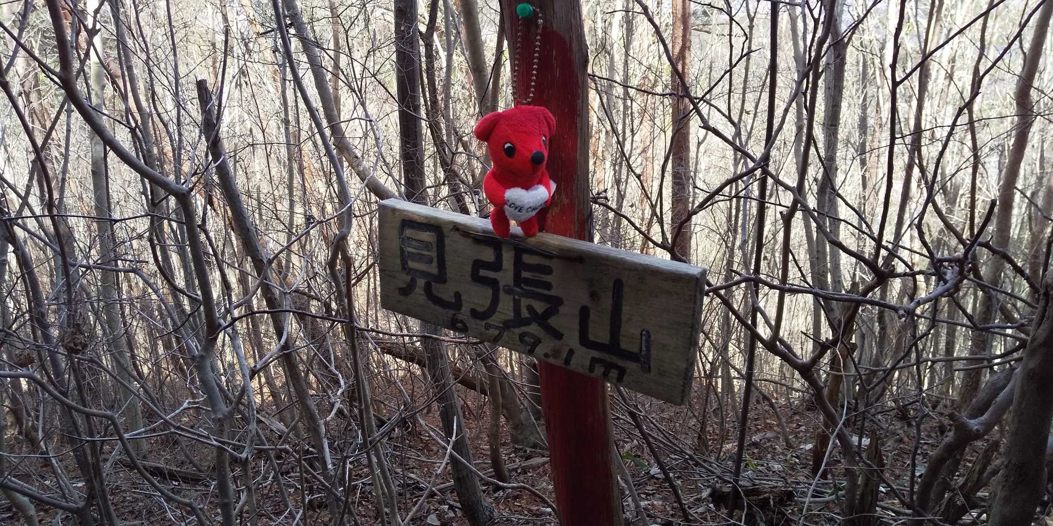 見張山山頂(展望無し😅)