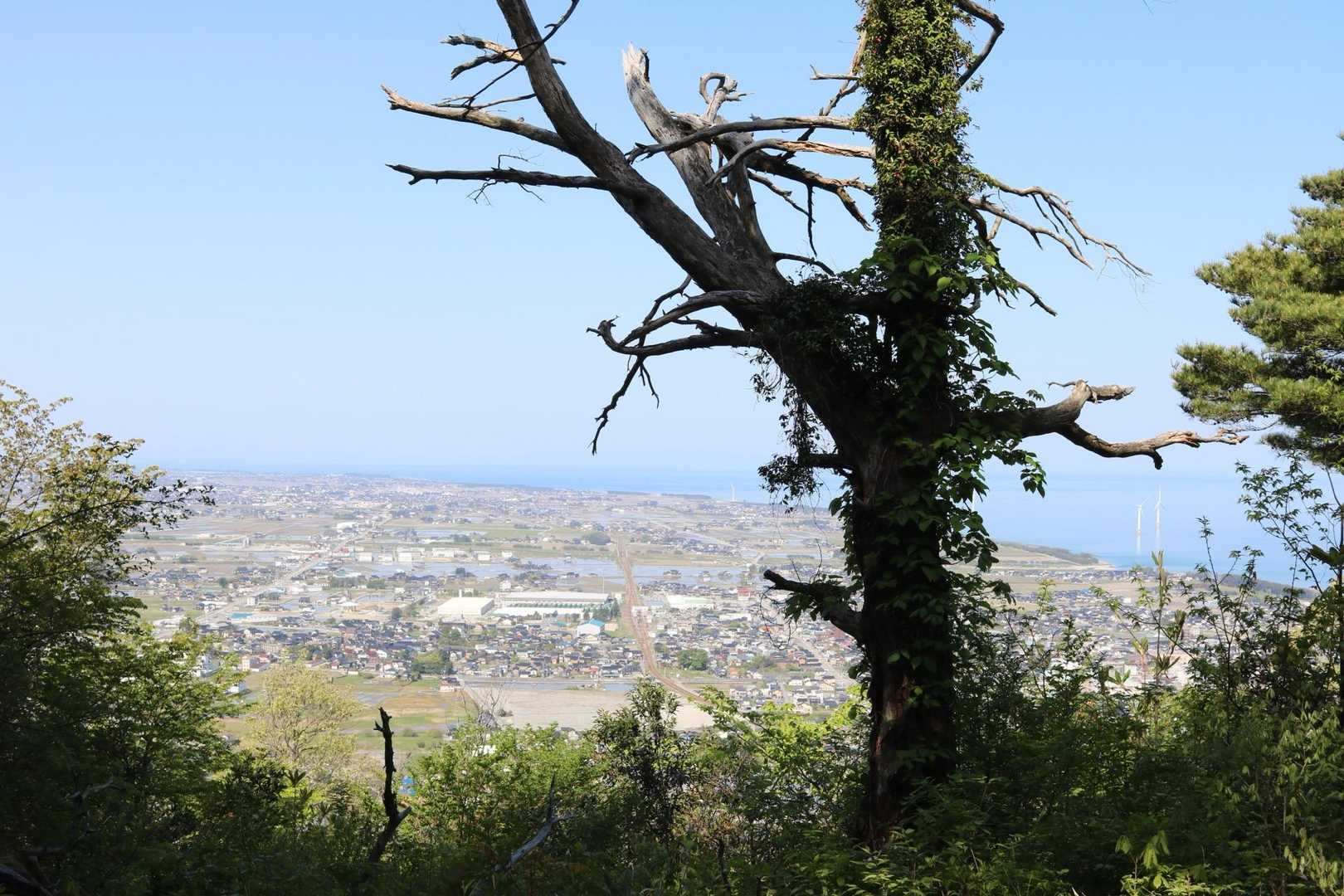 馬鬣山からの眺め