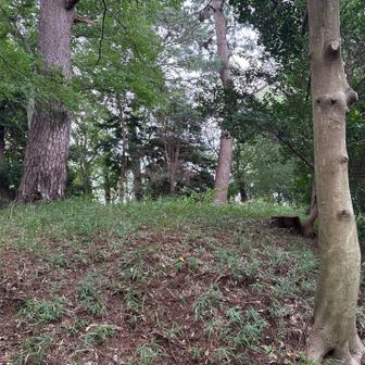 それともこっち？ 宝莱山古墳なので、山頂には入れず。