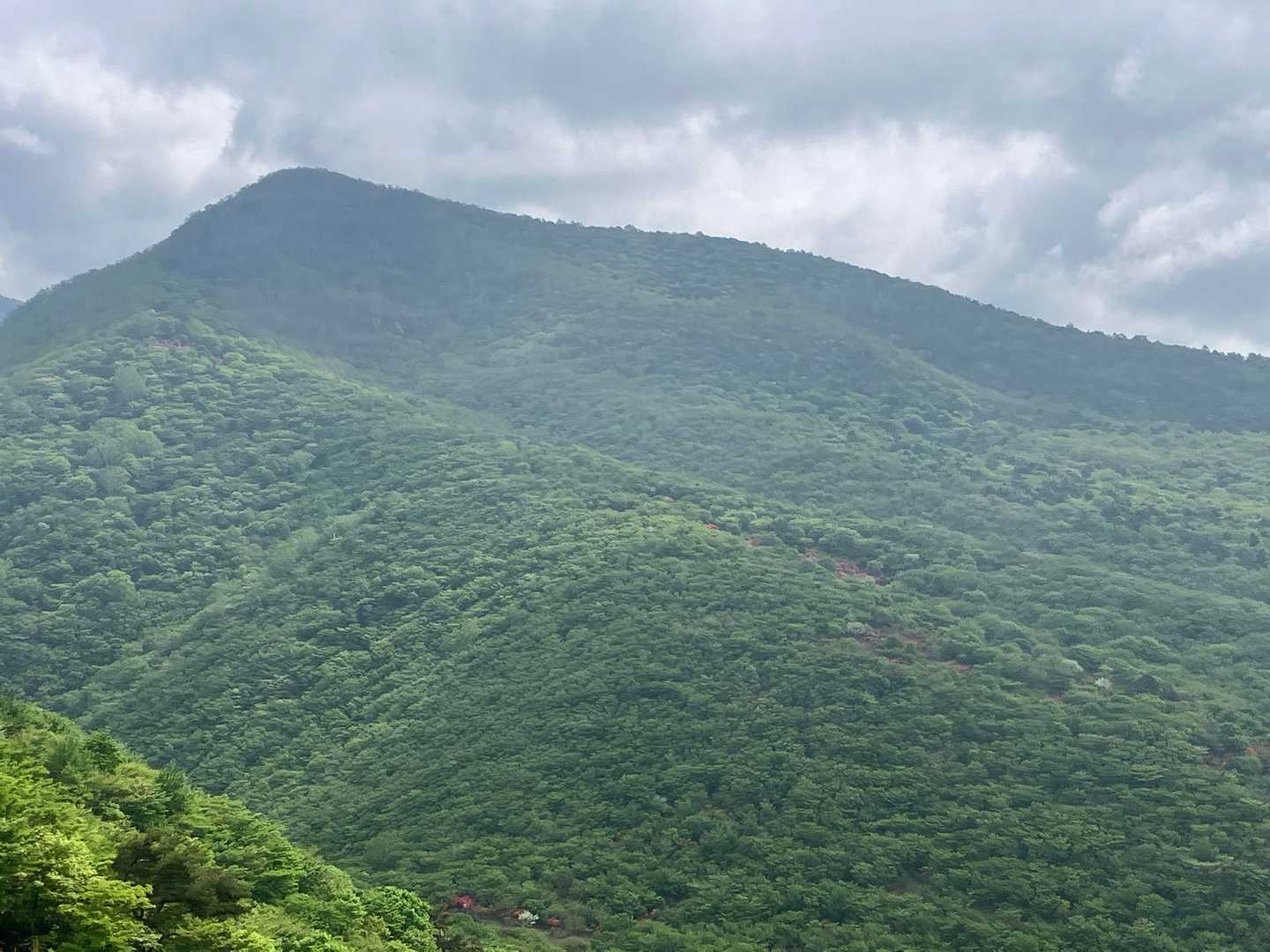 この後登る荒山、