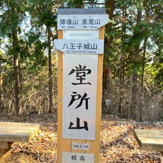 初めてきた堂所山。意外と眺望あった