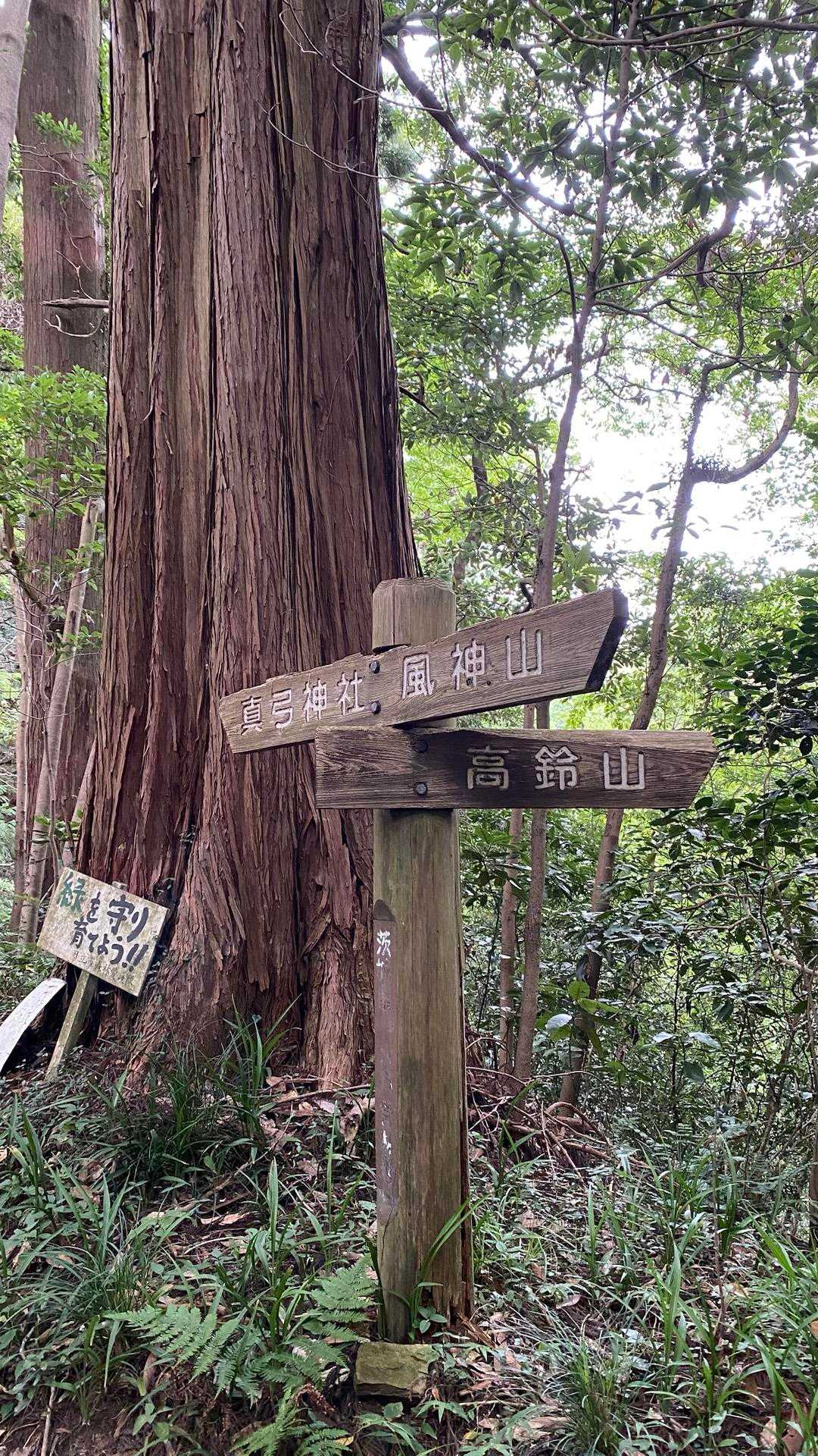 真弓山 往復コースの写真