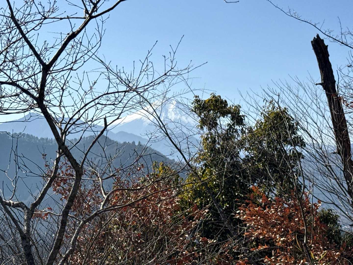 木々の間から、絶景富士山🗻
いいねー👍
ここで、ランチタイムにしよう🍙
