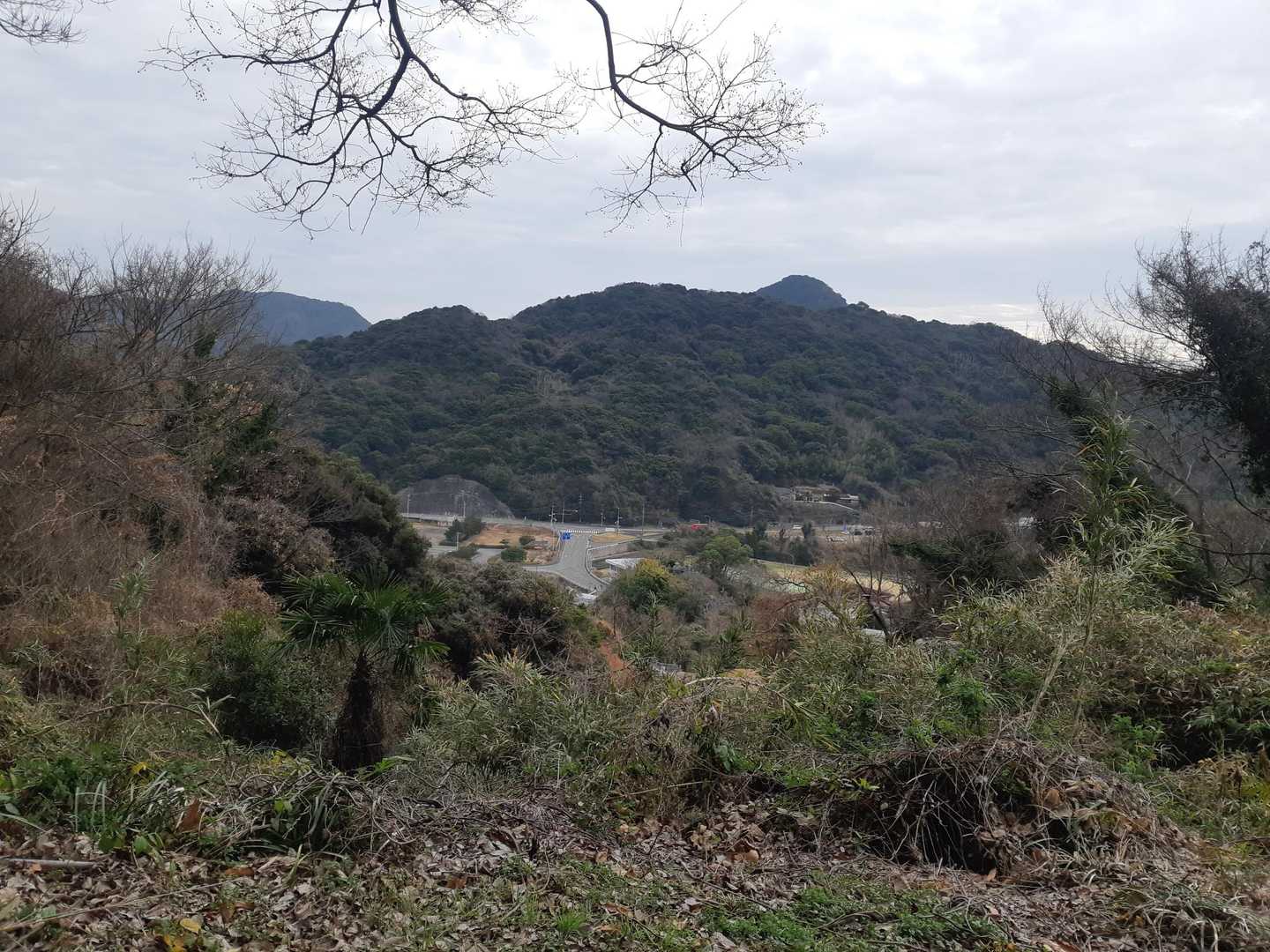 柴尾山登山口から👀
登る予定はしていませんでしたが、10名が初めてということで登ります🤗