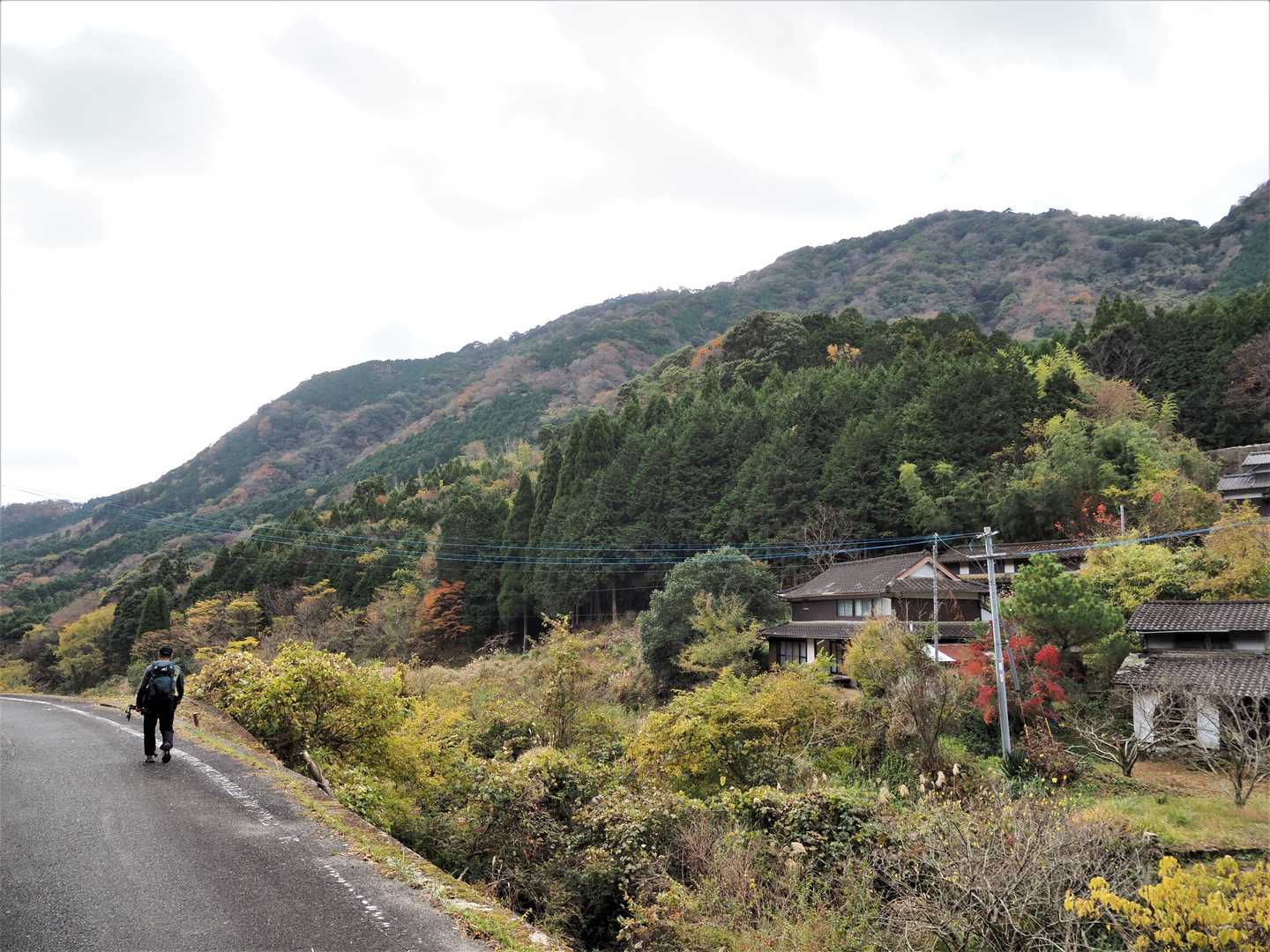 鹿嵐山-地蔵峠-第二登山口-鹿嵐山中央登山口 周回コースの写真