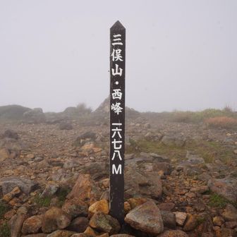 がす