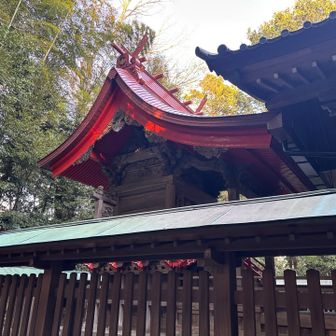 張り替えた屋根が赤くて綺麗ですよと案内してくれました　ほんとだ、すごい鮮やか🤩
屋根の上の丸い柱が
奇数だと男の神様
偶数だと女の神様
が祀られているんだよと教えてもらいました
こちらは5本で男の神様だそうです
トリビアだわ〜　へぇ🔘