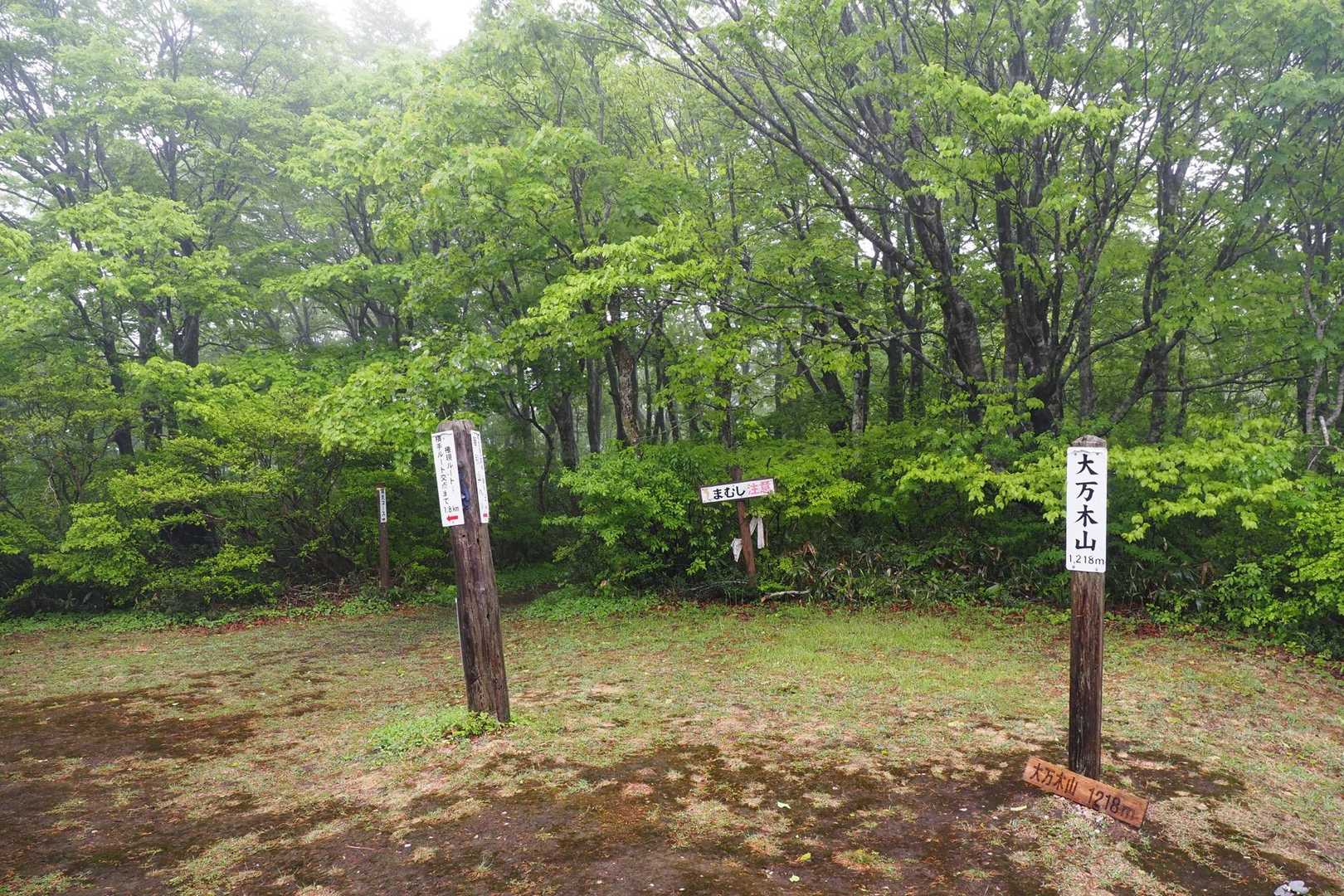山頂に着きました