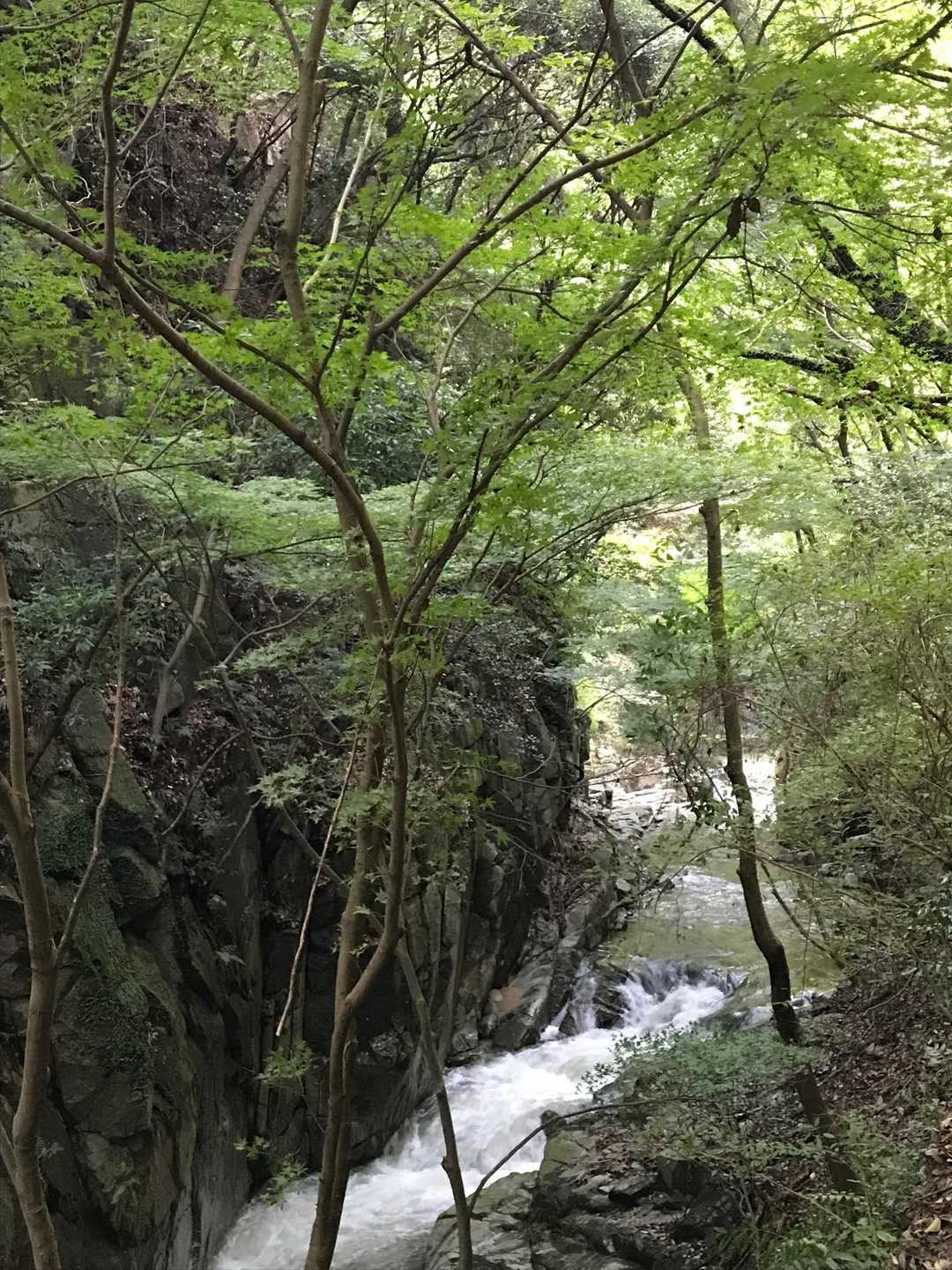 途中も見たことない水量