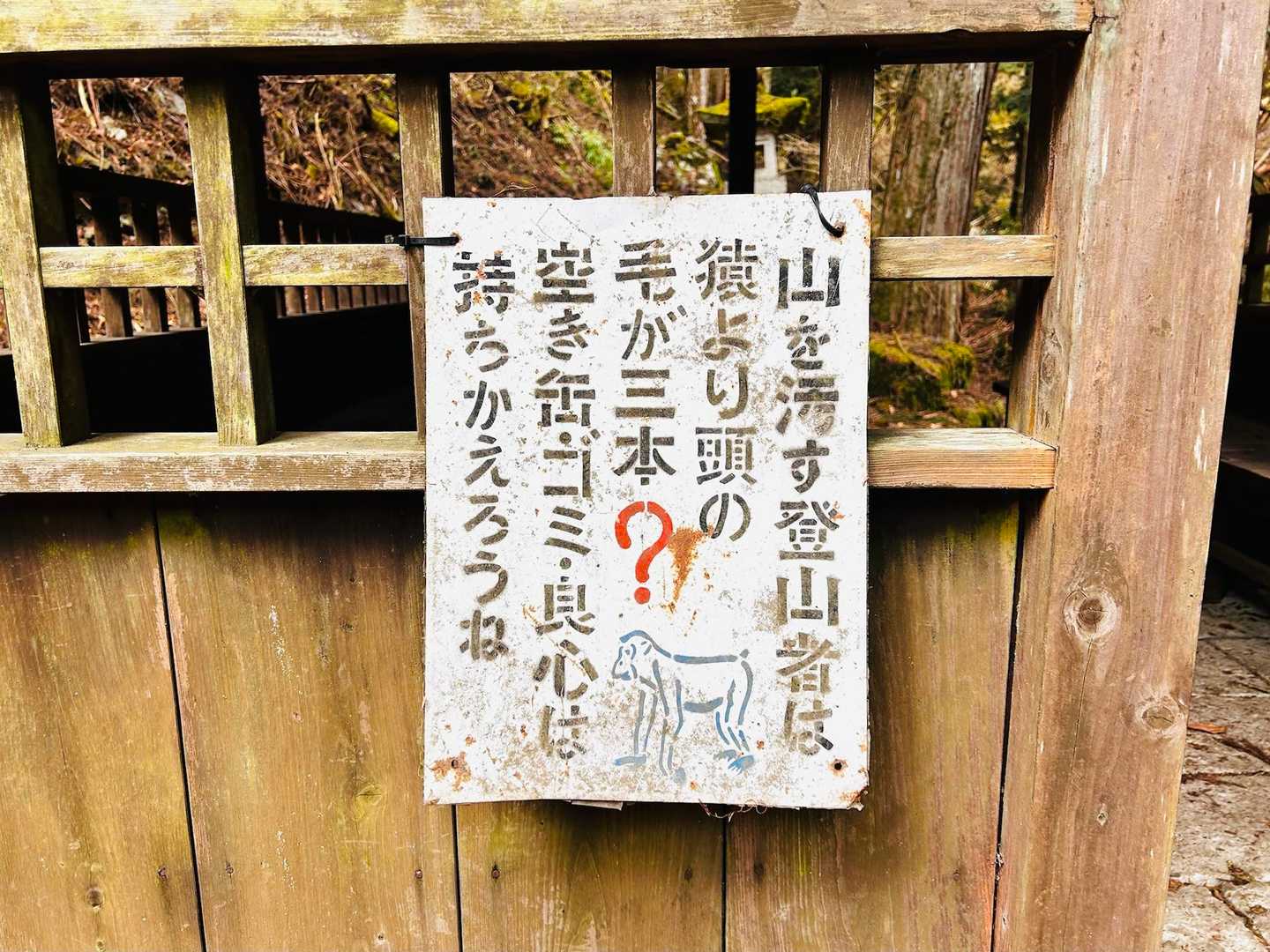 毛が3本❓🤔🤔