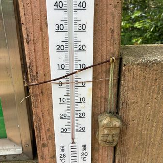 22℃。蒸し暑いけどまだ全然大丈夫。