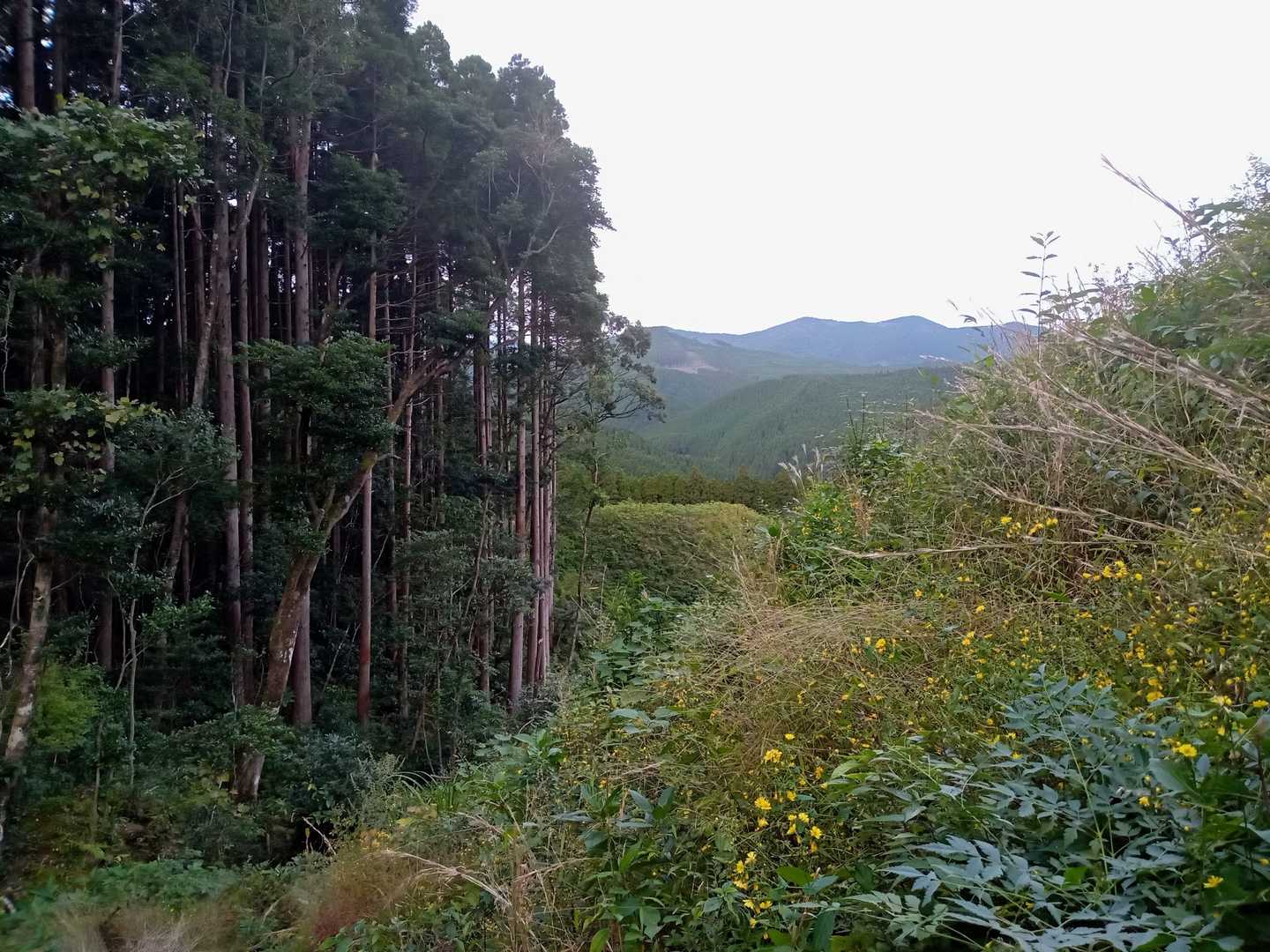 振り返ると…view❣