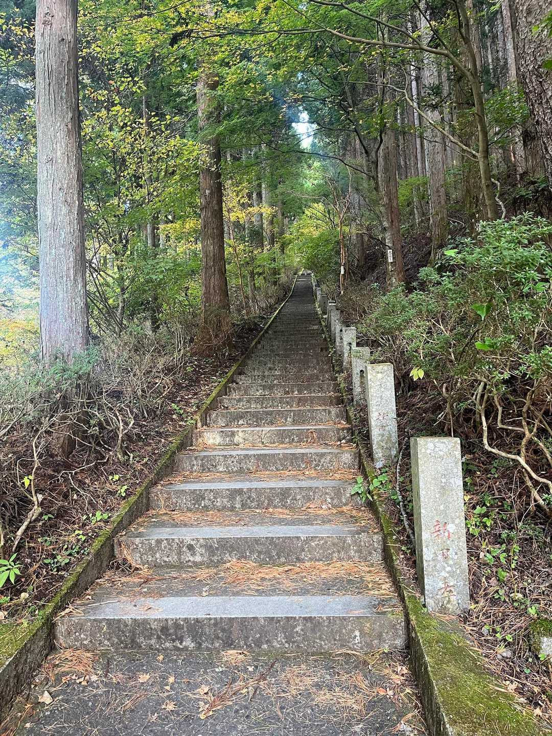 石割山 | 割れた巨岩を御神体とするパワースポットから、間近に富士山を望む稜線への写真