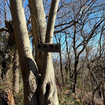 泰光寺山の標識、みーっけ！