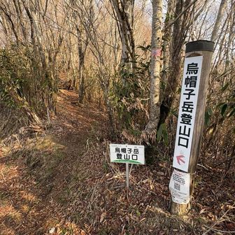 すぐ登山口