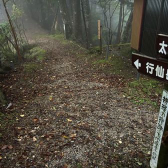 20:00に寝て、起きたら5:20。よく寝ました。寝過ぎでは？今日は短いコースなのでゆっくりしてても大丈夫。
夜中から雨音が…雨の中出発。