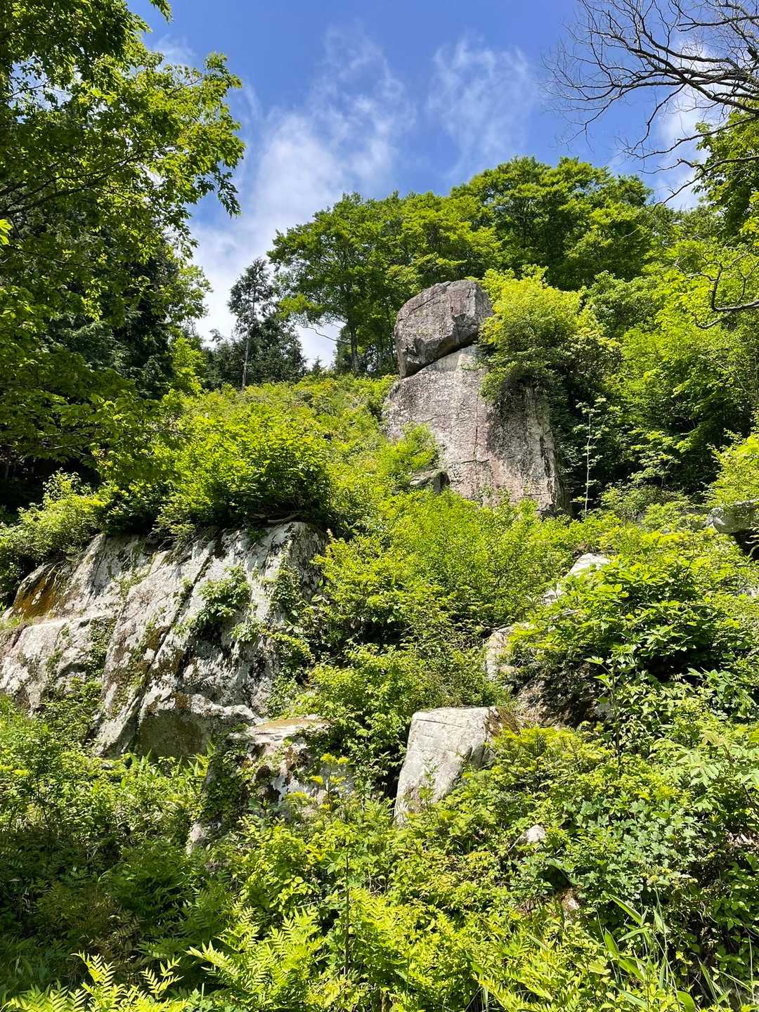 中国地方の山は山頂近くまで来たら
巨石群が出てくる