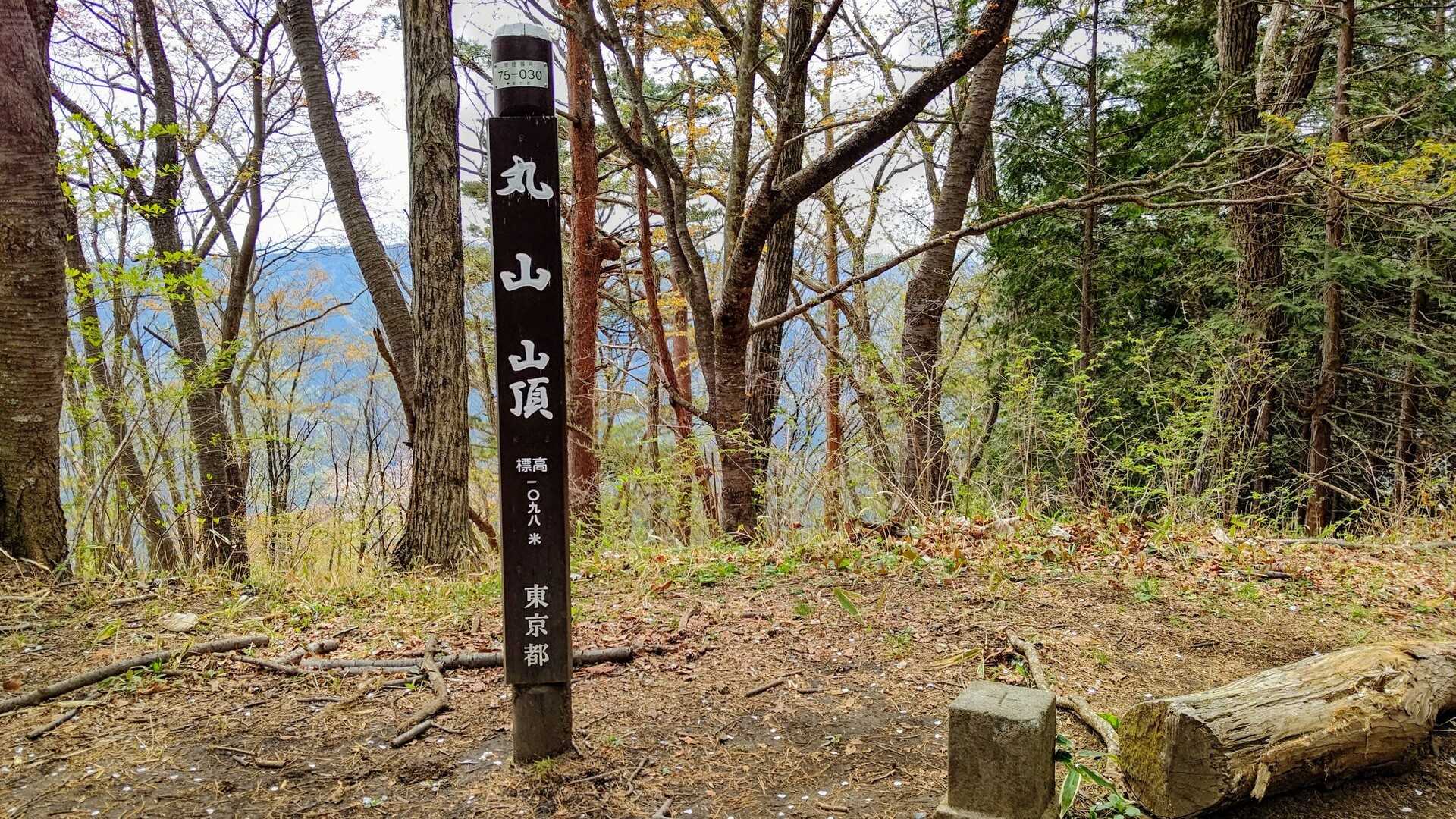 丸山の写真