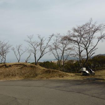 スタート地点へ戻る