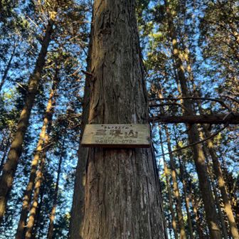 ２座目　弓張山⛰️⛰️