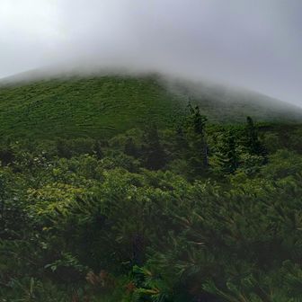 山頂は雲の中