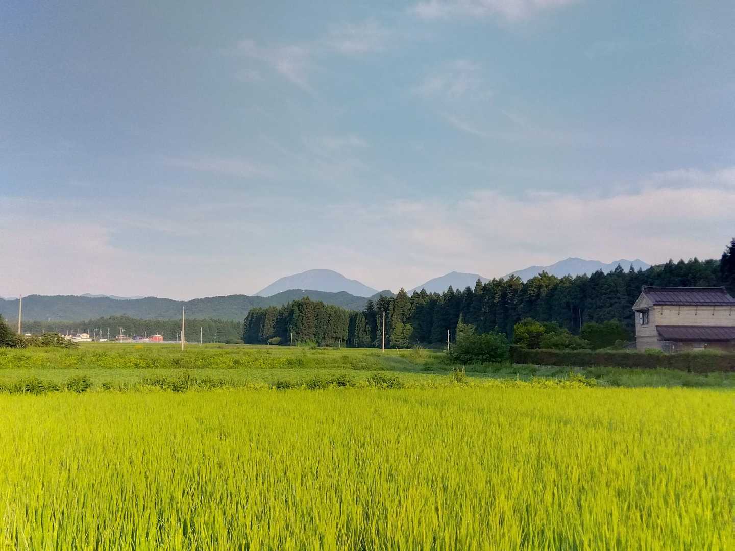 田んぼからの男体山😙